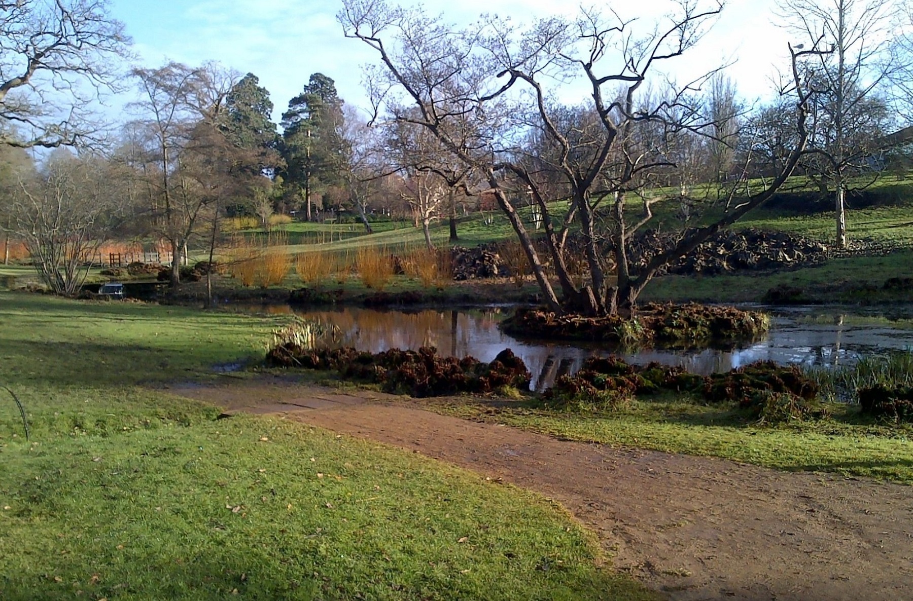 Sunny winter day in a large landscaped garden, with small pound and island in the foreground, and grassland sloping up to the right in the background.