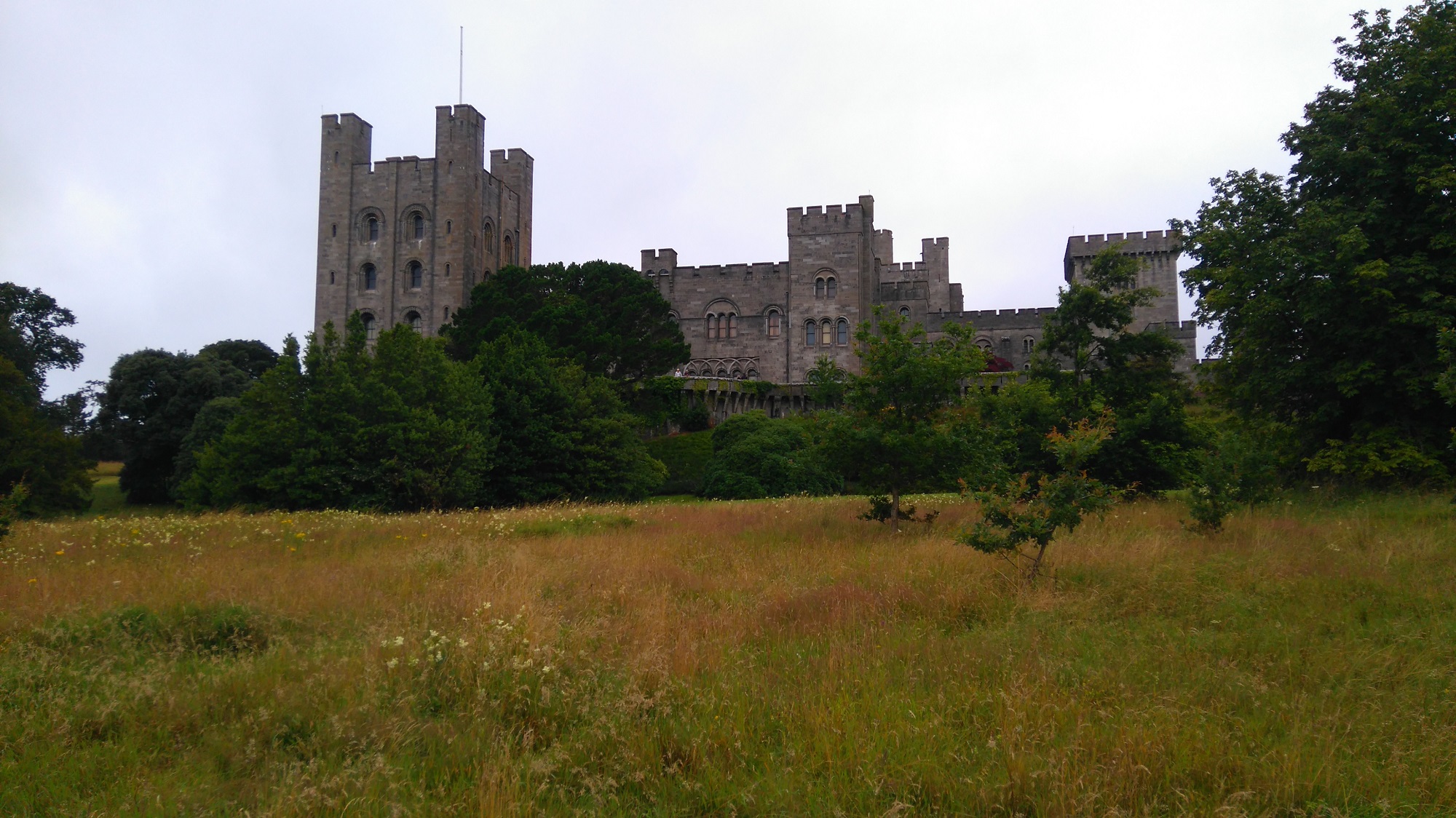 A castle viewed from within its grounds, with long grass in the foreground.