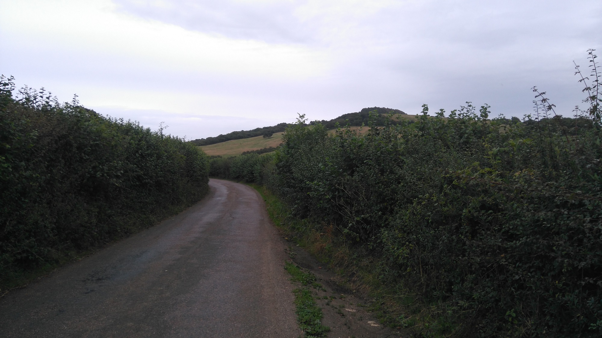 A tarmac country lane flanked by hedgerows on a cloudy summer day with a hill in the background