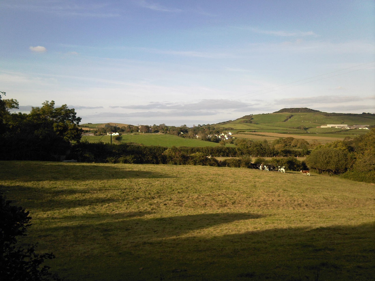 A rural scene on a sunny evening with a large field in the foreground holding some cattle, with a large hill in the background. The low sun casts long shadows across the field.