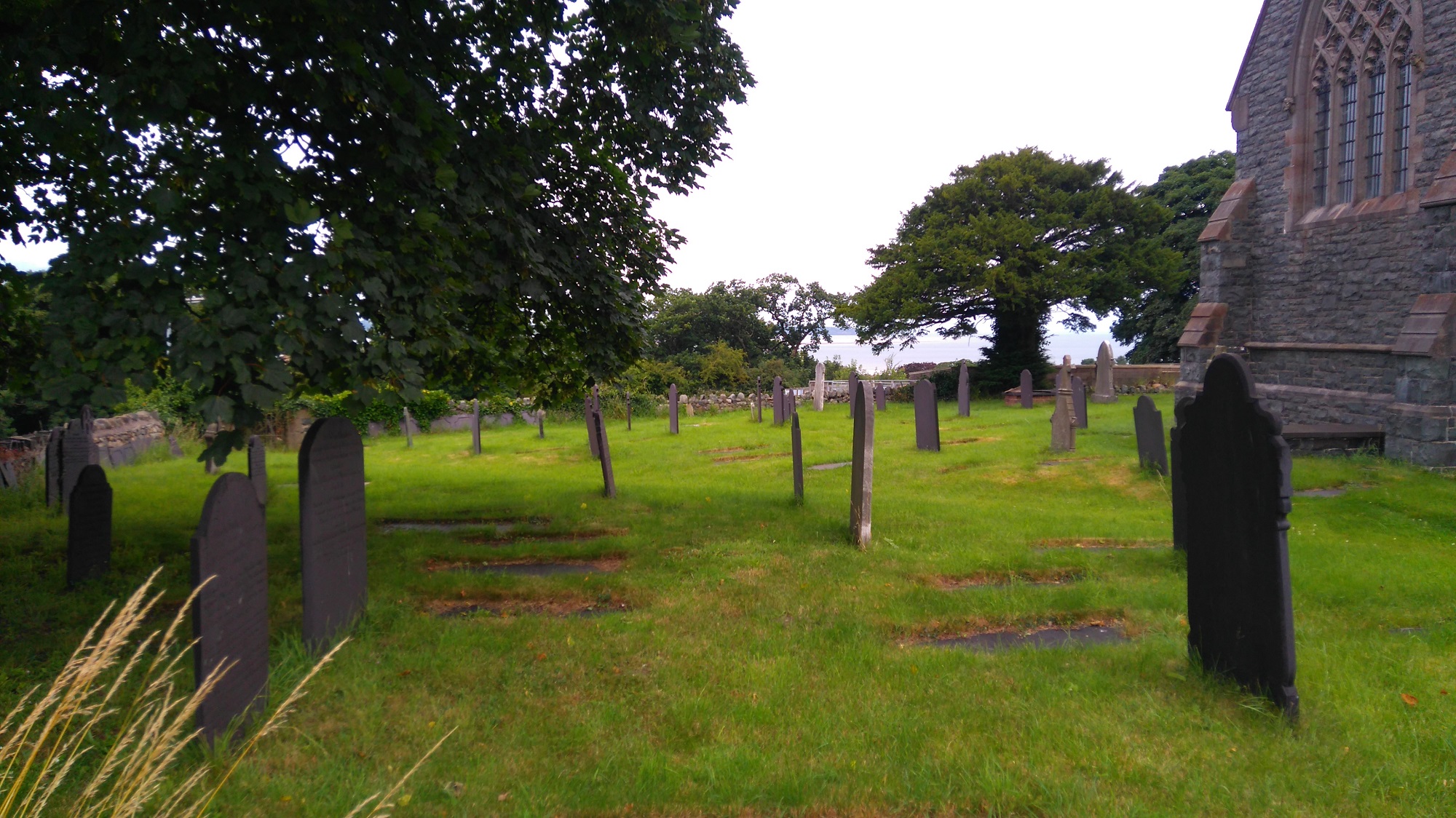 A grassy rural graveyard with dark headstones on a dull summer day. The end of the church is visible to the right.