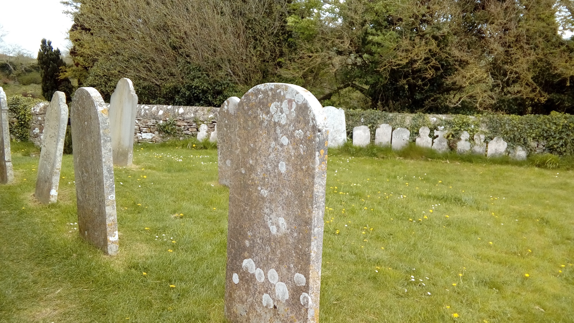 Old headstones in a rural cemetery. An old stone wall is in the background with tress behind.