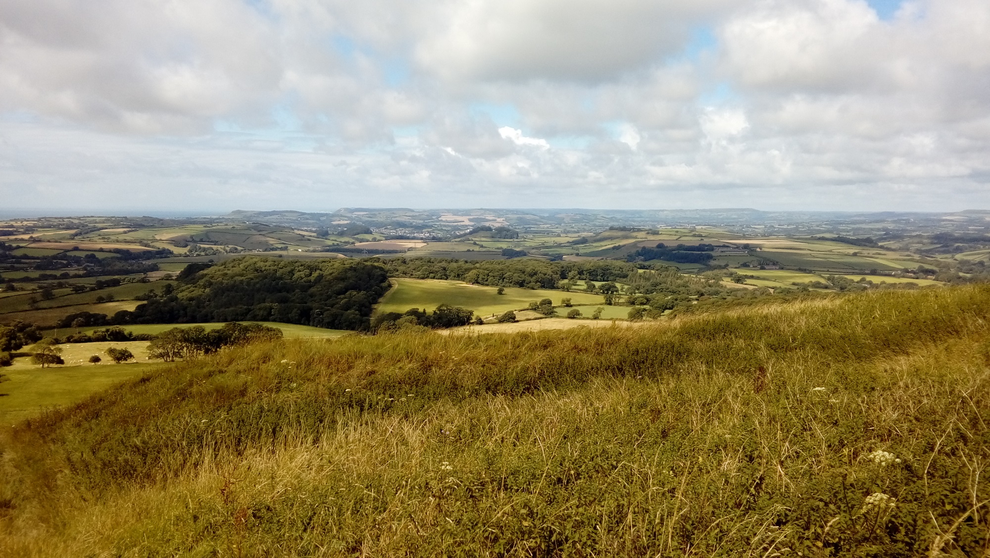Looking west from Eggardon Hill in Dorset. A grassy foreground with fields, hills and woods in the distance.