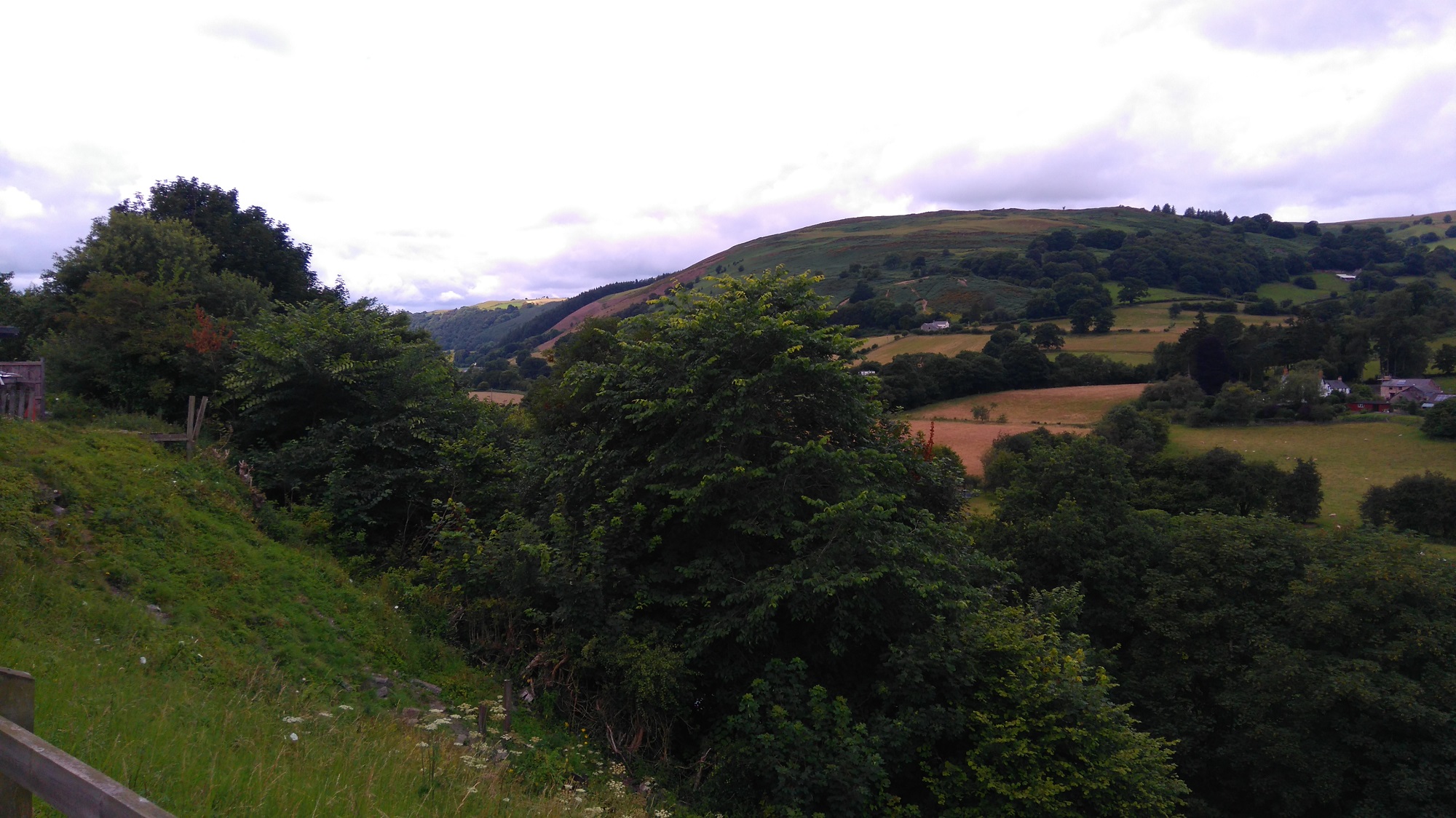 Rugged rural hills with fields, and trees in the foreground, viewed under a cloudy summer sky. Near Llangollen, Wales.