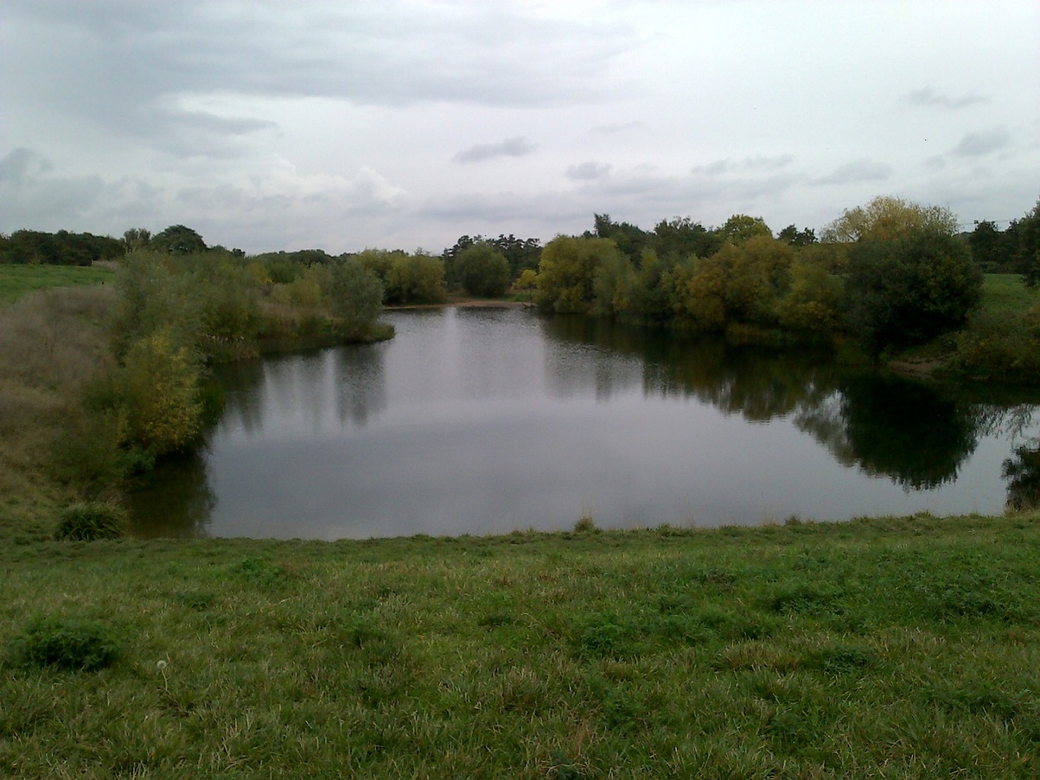 A small lake under a cloudy sky, surrounded mainly by trees and with a grassy bank in the foreground.