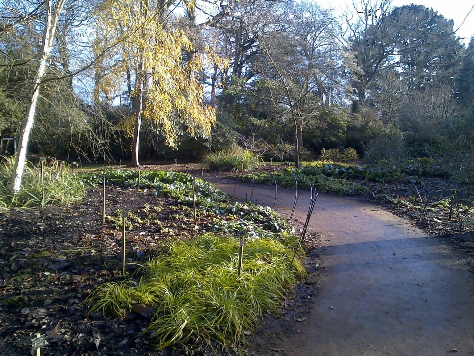 Path through gardens sunny day trees