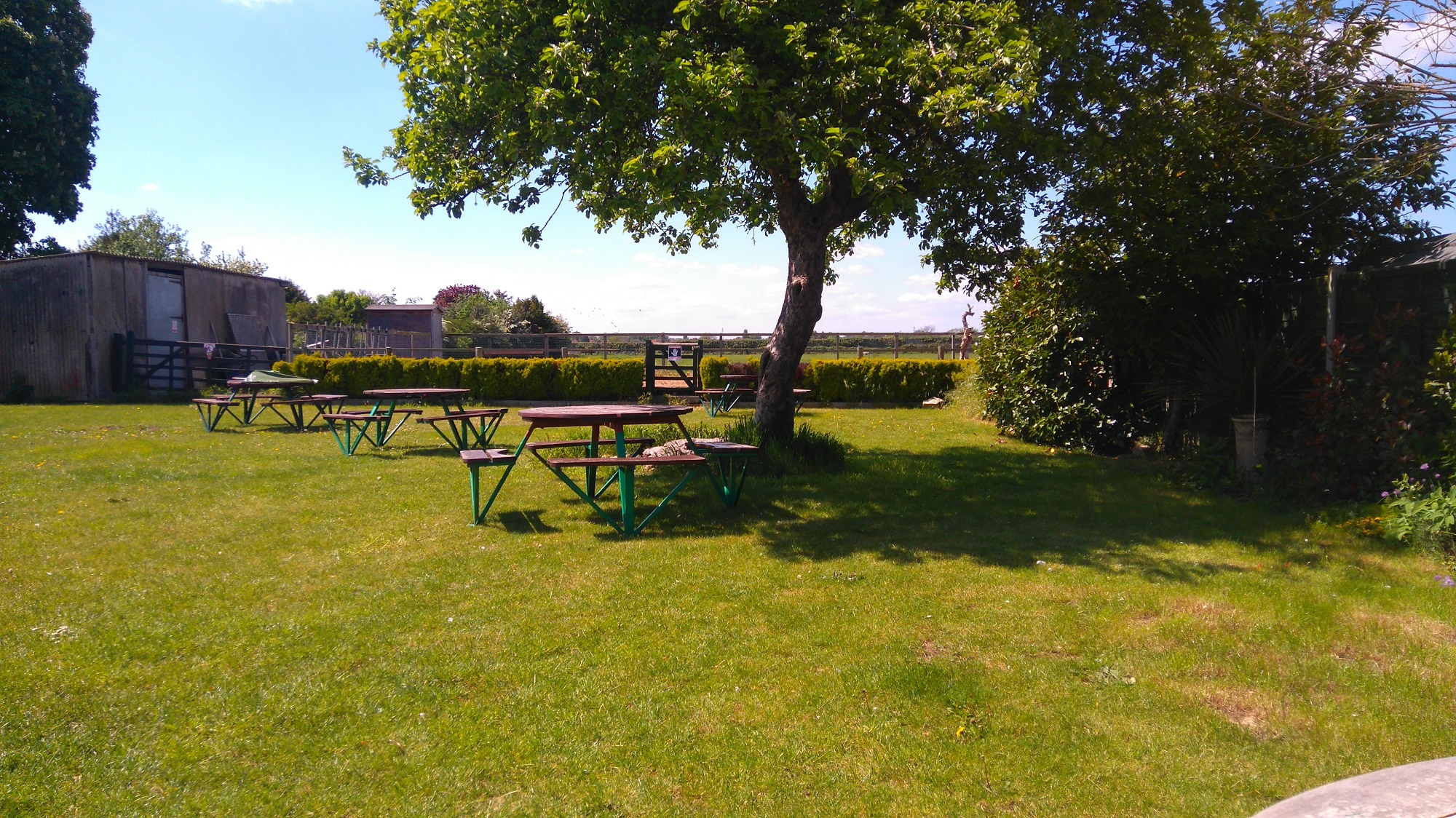 A grassy pub garden on a sunny day, with tables and seats, partly shaded by a tree.