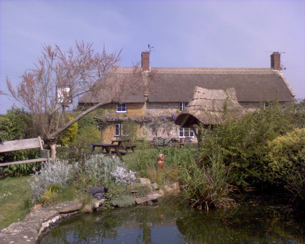 Pub thatched rural garden pond sunny
