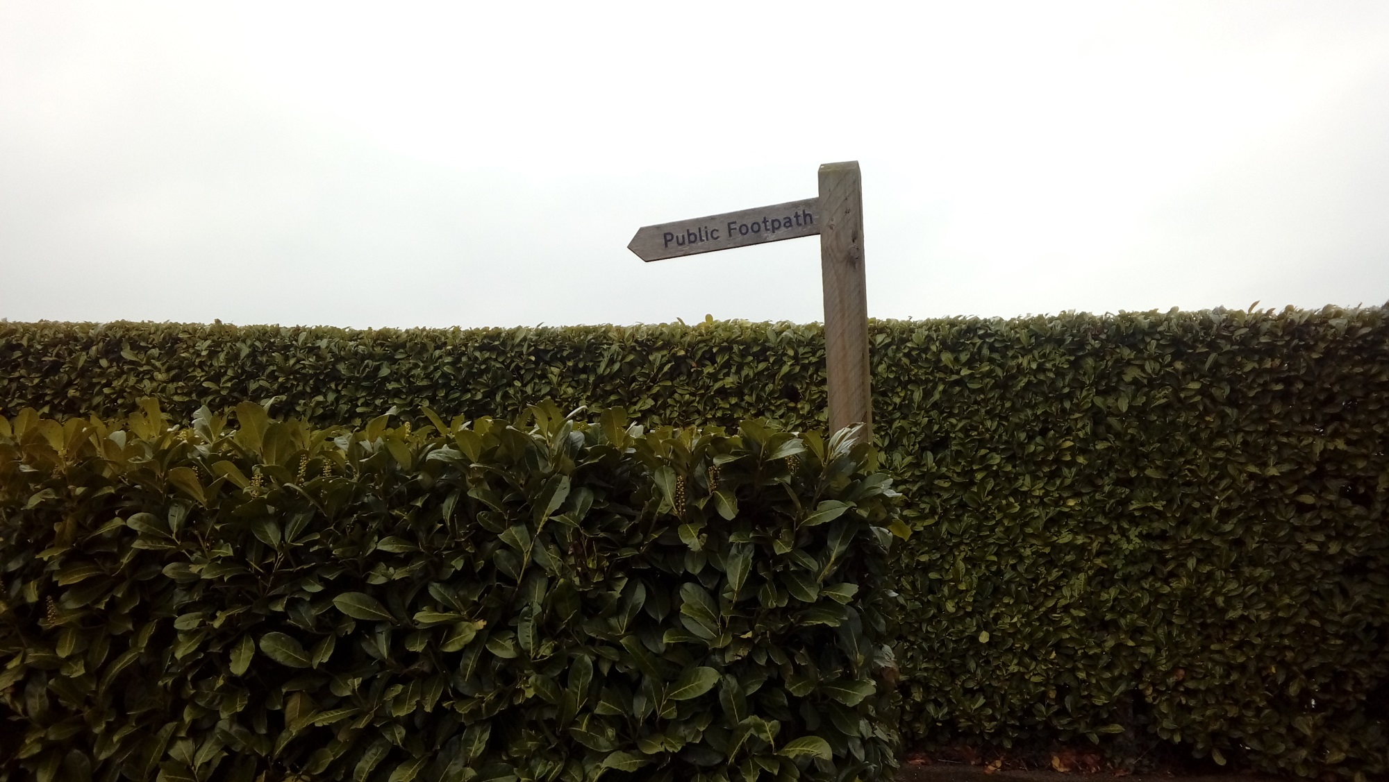 Public footpath sign hedges