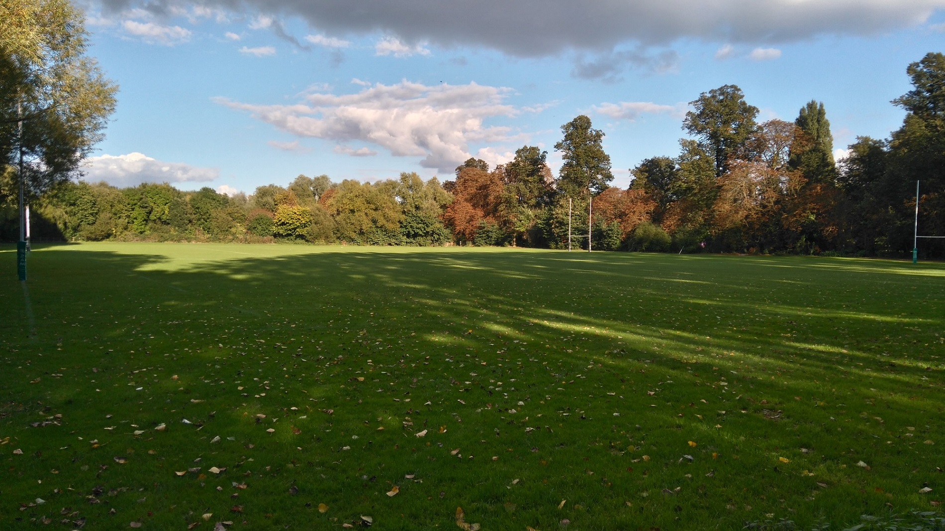 Rugby playing fields viewed on a sunny autumn day. Leaves are present across the vibrant grass, and in the background a hedge and trees are visible with copper and gold leaves.