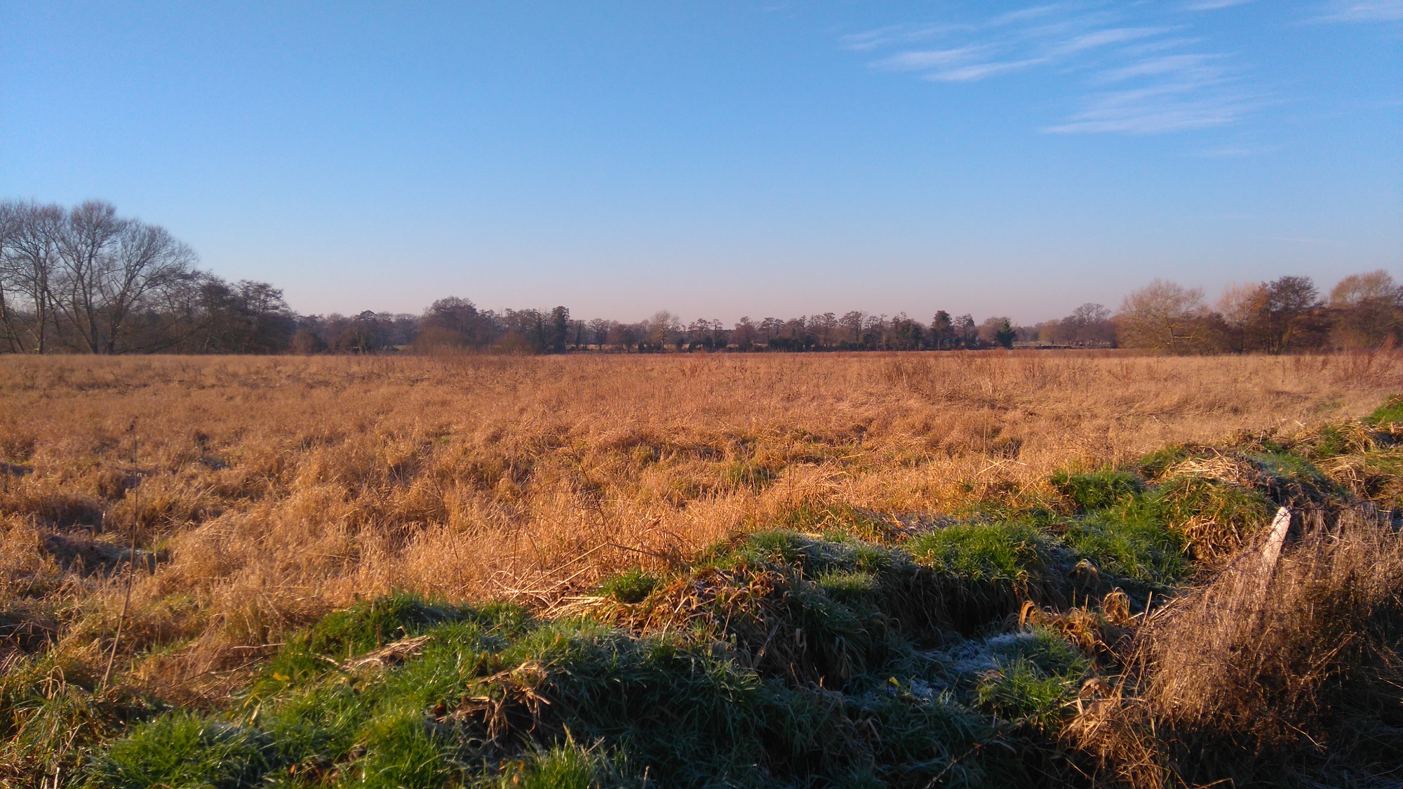 A large, low-lying flat meadow bathed in winter sunlight under clear azure skies, with trees in the distance. In the foreground a small area of shade is covered in frost.