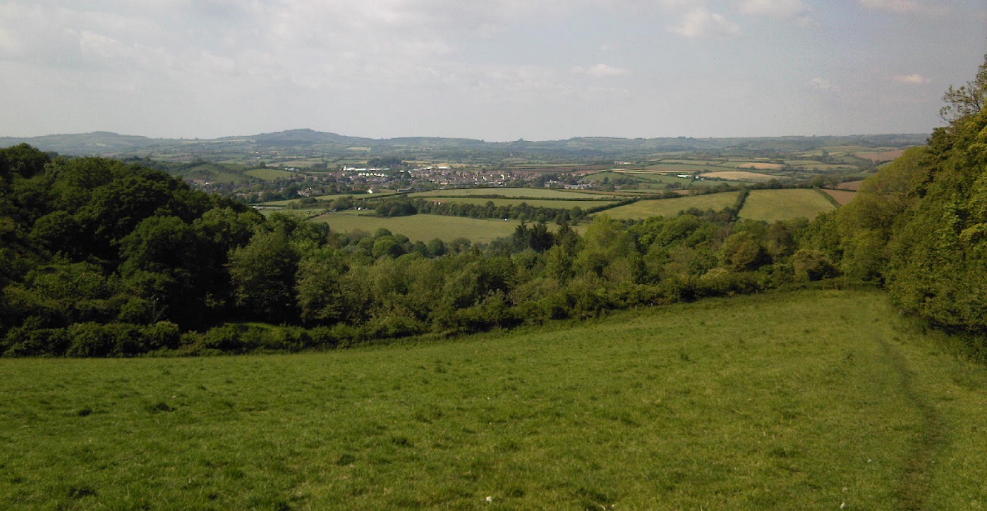A view across open countryside from a hillside in Dorset on a sunny day. A tree lined meadow is present in the foreground, behind which lies a vista of fields and hedgerows holding a distant conurbation.