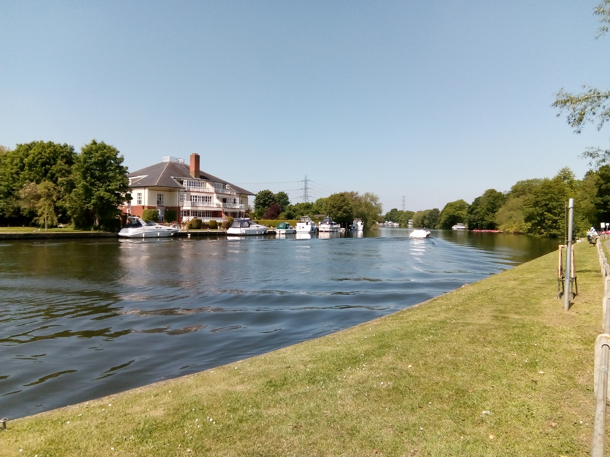 Dockett Moorings viewed from across the Thames near Shepperton on a sunny summer day, while a boat cruises upstream.