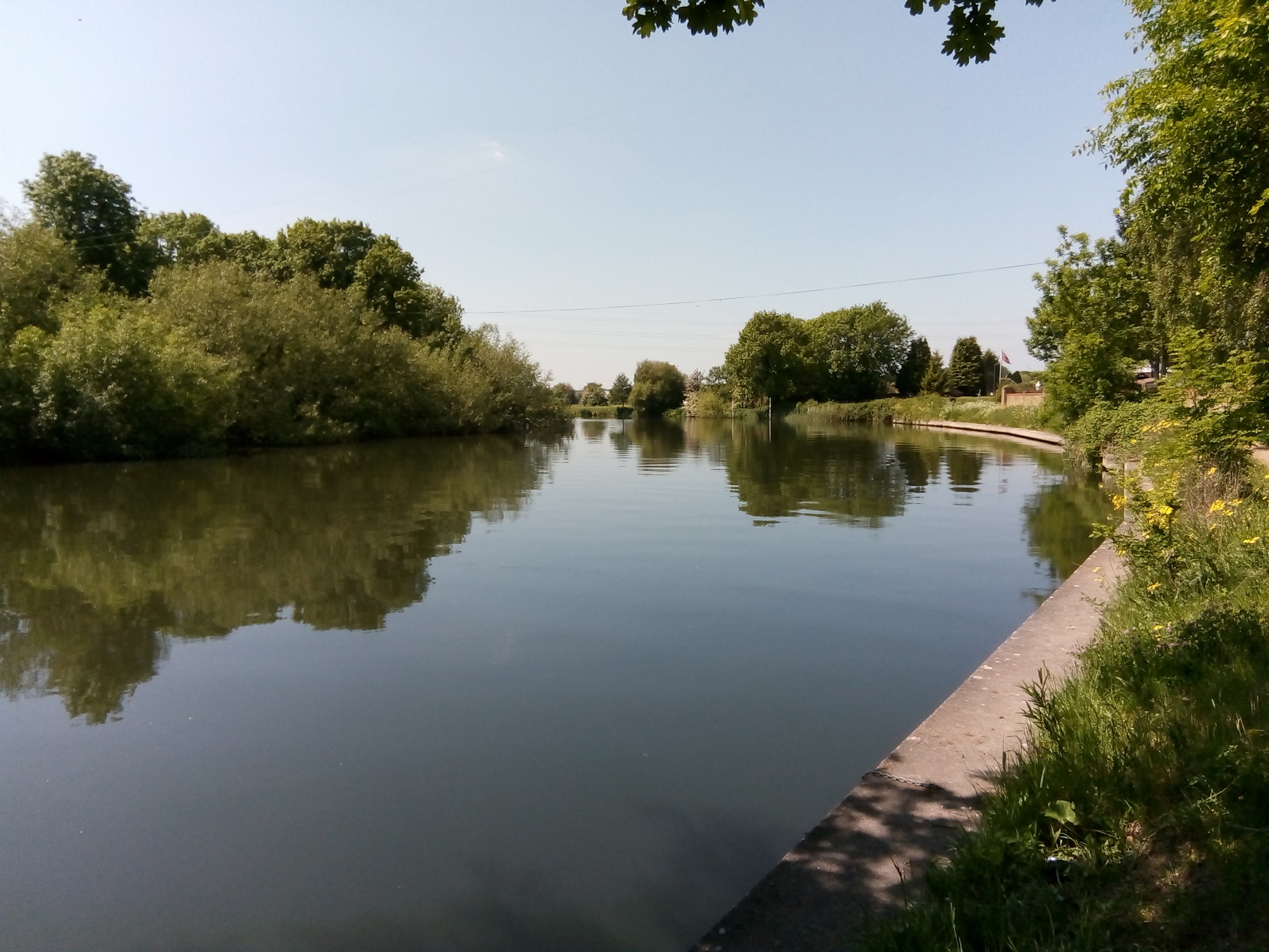 The River Thames viewed from the Middlesex side looking upstream on the outskirts of Chertsey. The river is calm and flat on a hot still sunny day.
