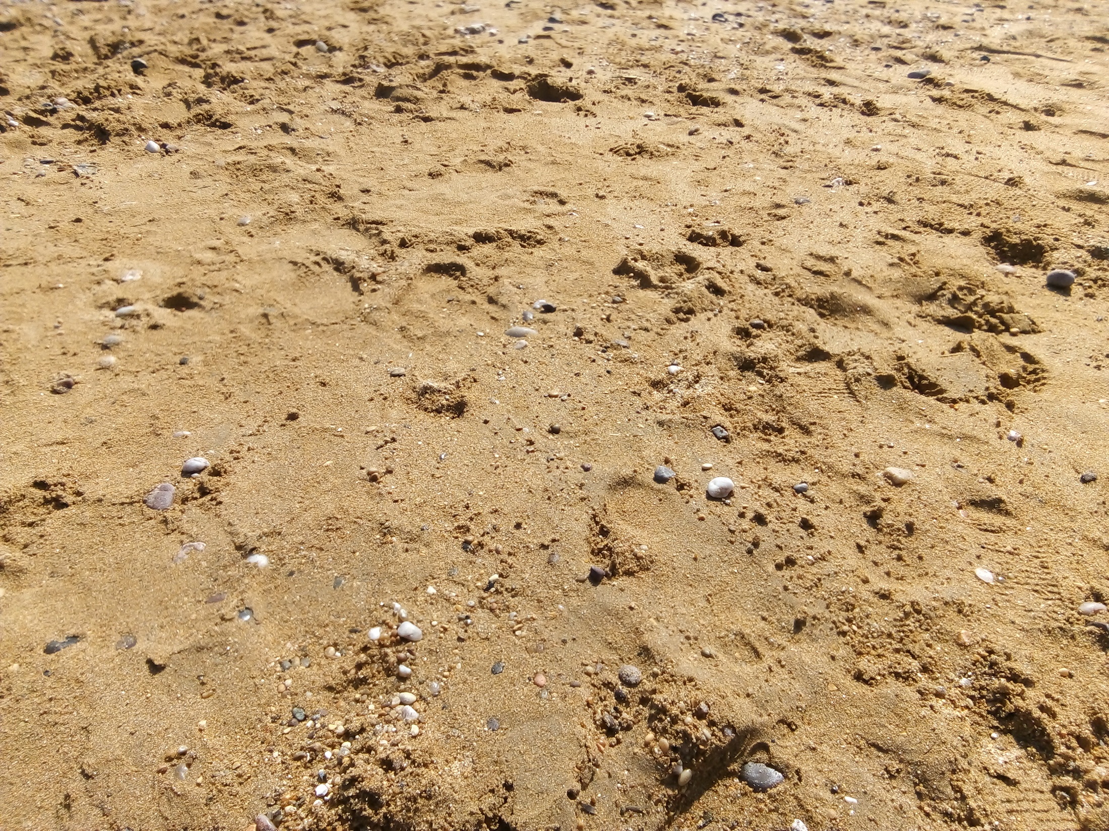 Sand and stones on a beach on a sunny day