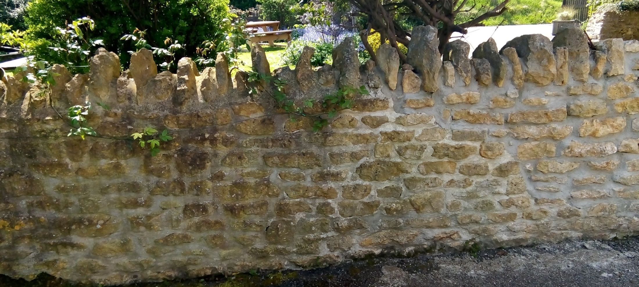 A sandstone wall of around five feet in height partly shaded by a tree on a sunny day.