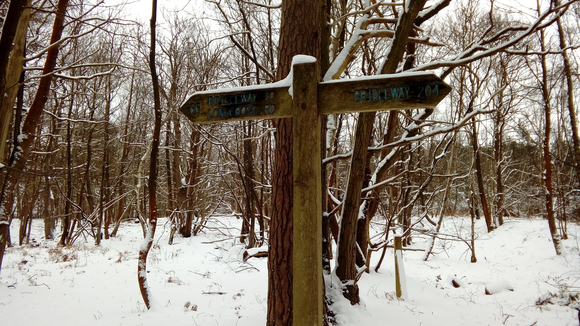 A wooden public footpath sign in a woodland area on a winters day, covered in snow.
