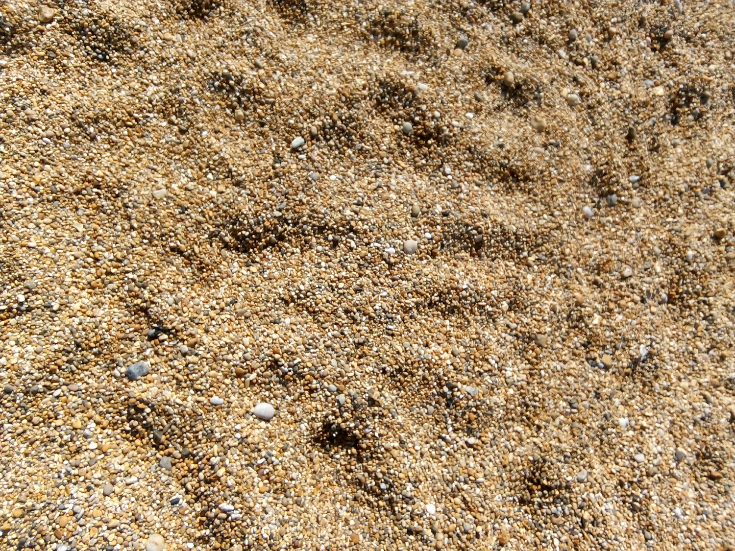 Coarse sand and small pebbles