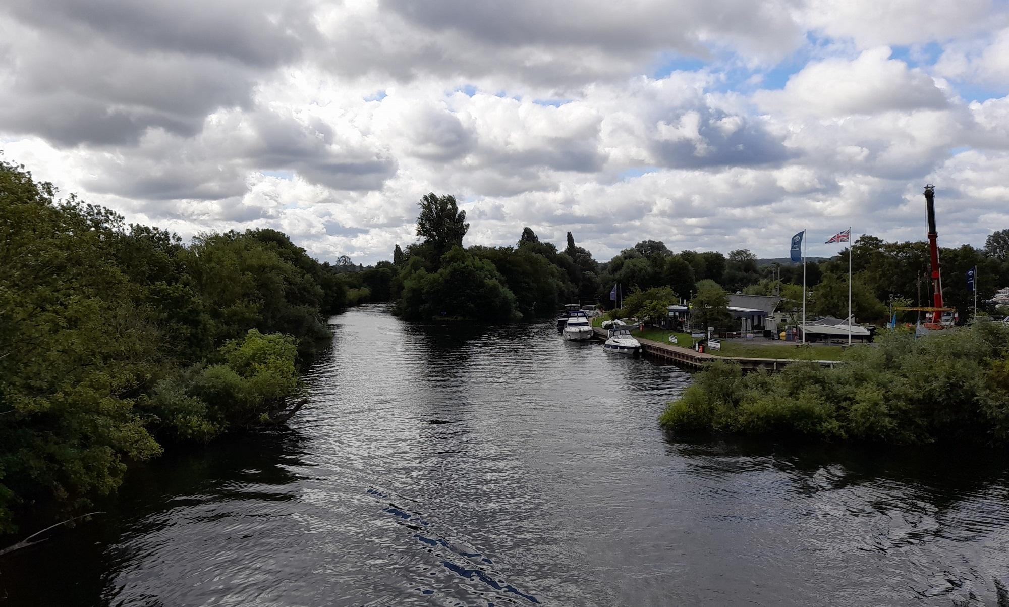 The River Thames: Queen’s Eyot and Bray Marina