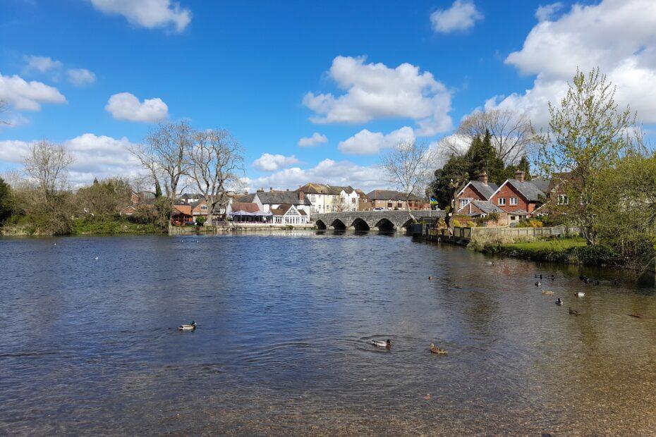 An old bridge in a New Forest town in the background with a wide river in the foreground containing ducks under a blue sky with some white clouds