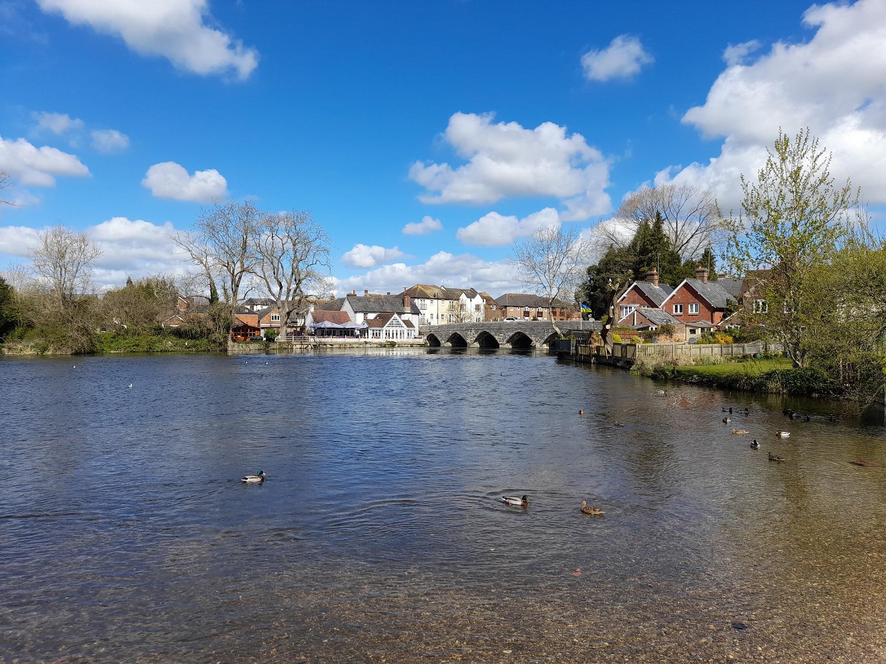 An old bridge in a New Forest town in the background with a wide river in the foreground containing ducks under a blue sky with some white clouds