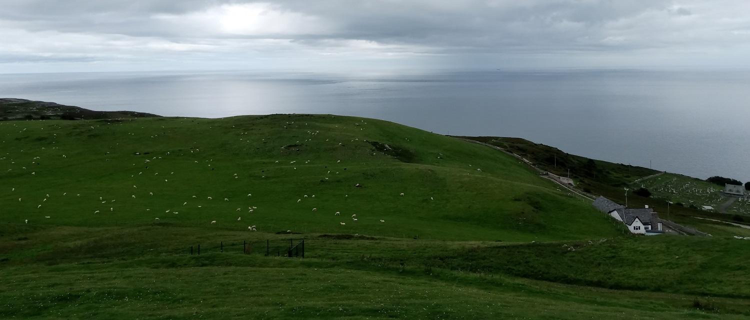 A view over a large green hill covered in sheep with a grey sea in the background under a cloudy sky